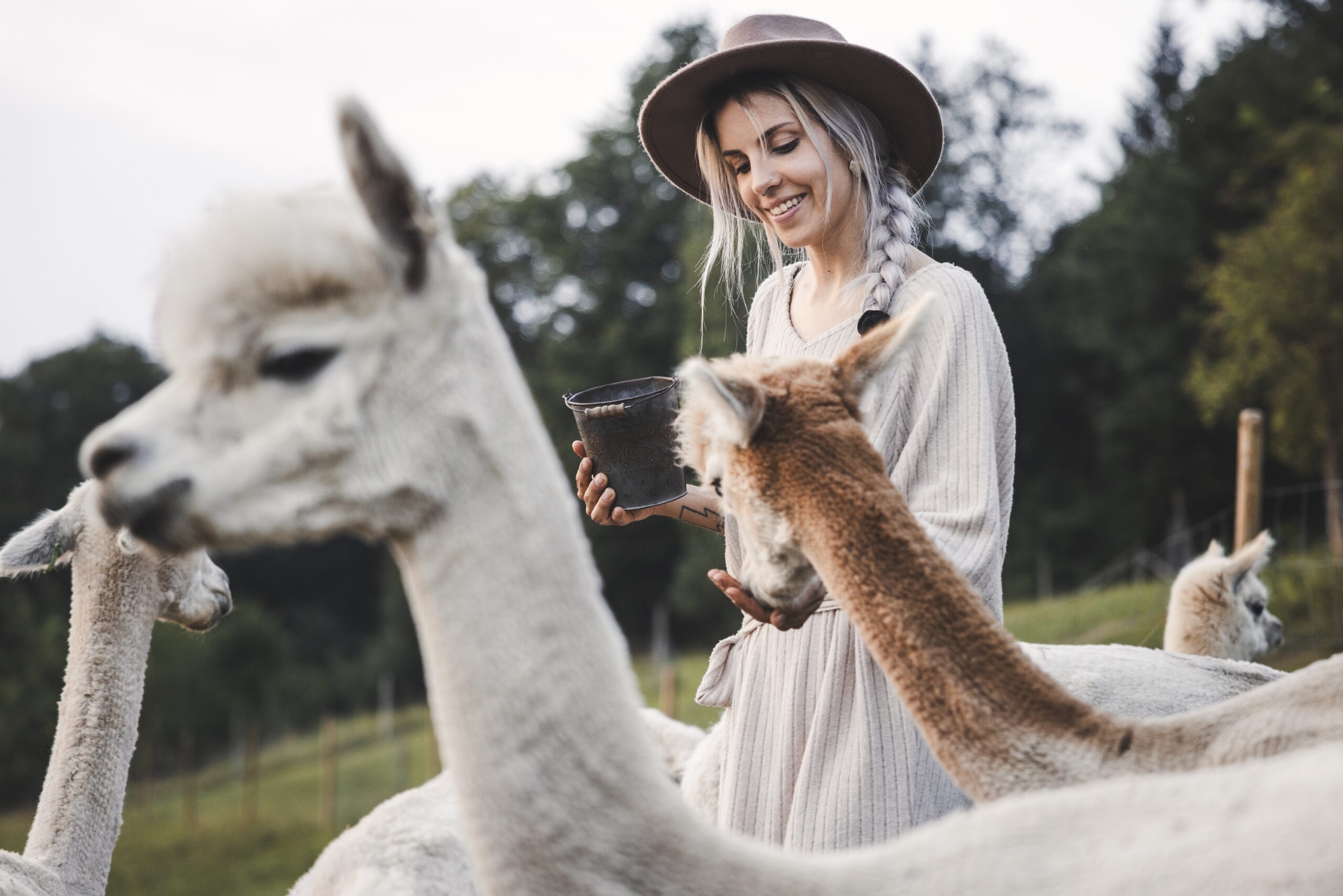 Darilni bon alpaka ranč - otroci (2,99-13,99 leta) - nakup - slika 4